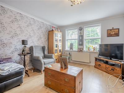 Picture 15